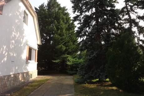 Baugrund mit Altbestand im 22. Bezirk, Donaustadt, Grund und Boden-kauf, 1.200.000,€, 1220 Wien 22., Donaustadt