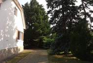 Baugrund mit Altbestand im 22. Bezirk, Donaustadt
