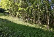 Ihr Grundstück in Hanglage mit absolutem Grünblick