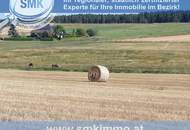 Vierkant Pferdehof im herrlichen Waldviertel mit 3 ha Wiesen!