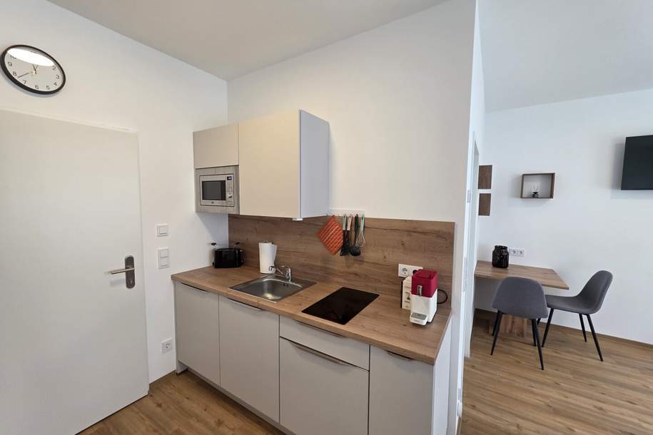 Möbliertes 1-Zimmer-Apartment ohne Loggia € 520,- inkl. BK, HK, Strom u. Wlan, Wohnung-miete, 520,00,€, 4770 Schärding