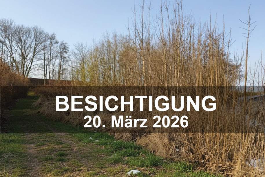 Baugrundstück in Kobernaußen ohne Bauzwang, Grund und Boden-kauf, 109.600,€, 4923 Ried im Innkreis