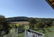 Traumhaftes Einfamilienhaus in Leonding - modernes Wohnen in Traumlage mit Garten, Terrasse, Sauna u.v.m.