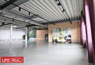 repräsentatives Büro im Hafenviertel für kreative Branchen, Teilflächen möglich