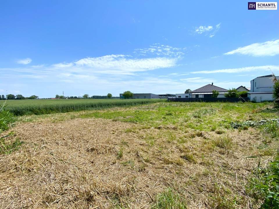 Perfekt für Häuslbauer und als Anlage: Baugrundstück I Grünruhelage I unverbautes Gegenüber I Kein Bauzwang!