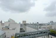 Nähe U1 - Ruhelage - Maisonettewohnung - bei Station Vorgartenstraße, Messe Wien, WU und Praterstern (U1,U2)