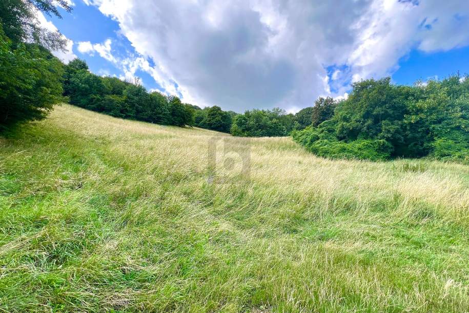 TRAUMHAFTES GRÜNLAND, Grund und Boden-kauf, 95.000,€, 3400 Tulln