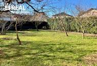 Modernisierungsbedürftiges Haus in attraktiver Lage