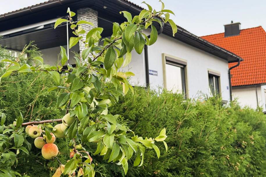Ihr Bungalow mit Keller, Garten und Doppelcarport, Haus-kauf, 285.000,€, 2630 Neunkirchen