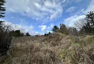 Großes Grundstück für Bauträger oder privaten Wohnbau! Bebauungsstudie vorhanden! Altbestand!