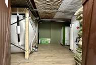 Ihr neues Zuhause! Modernes Einfamilienhaus in Mattersburg: 6 Zimmer, Garten, Terrasse