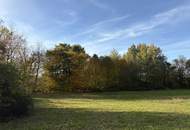 Idyllisches Baugrundstück im Grünen