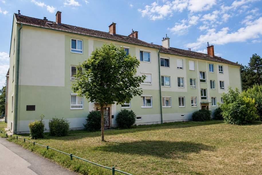 "Was will man mehr?", Wohnung-kauf, 190.000,€, 2563 Baden