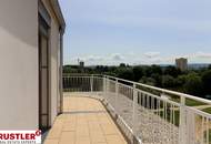 4-Zimmer-Dachterrassenwohnung mit einem unverbauten Blick auf die Traisen.