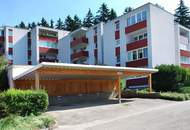 Moderne, renovierte 3-Zimmer mit Loggia und Carport-Stellplatz in Pressbaumer Zentrumslage