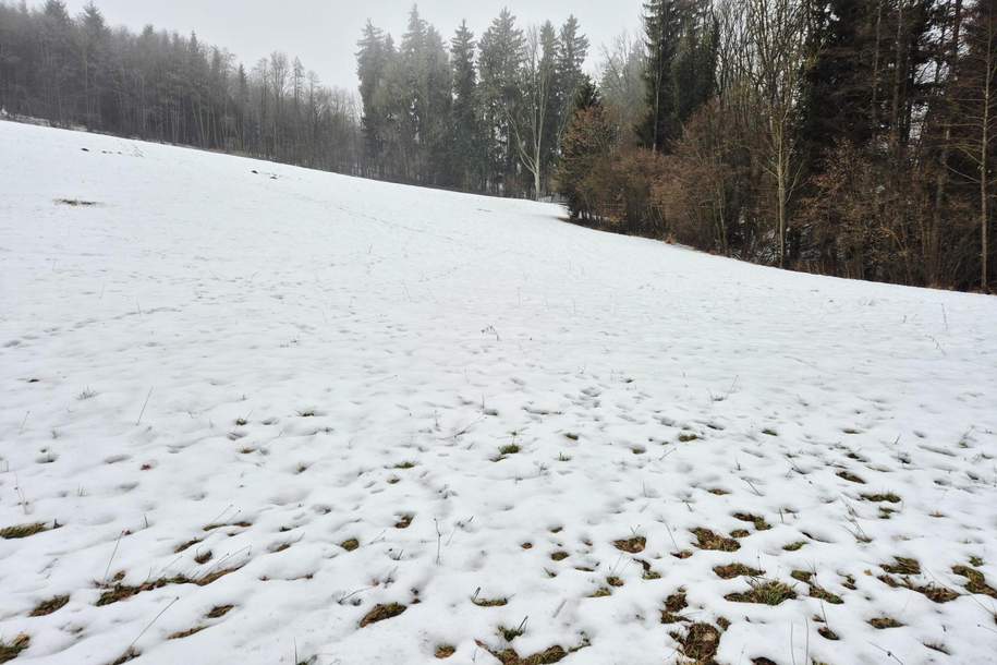 WIESEN Teil 3, Grund und Boden-kauf, 33.500,€, 3233 Melk