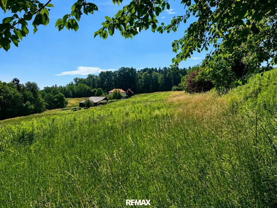Weitläufiges Grundstück (über 8.500 m²) - Bauland mit großzügiger Grünlandfläche in Olbendorf!