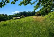 Weitläufiges Grundstück (über 8.500 m²) - Bauland mit großzügiger Grünlandfläche in Olbendorf!