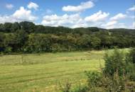 FAMILIENDOMIZIL MIT SCHWIMMTEICH