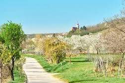 Erstbezug beim Neusiedler See, Wohnung-kauf, 292.400,€, 7082 Eisenstadt-Umgebung