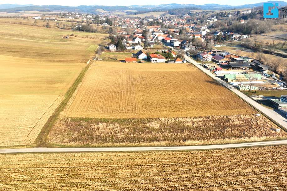Gewerbegrundstück: Bauland-Industriegebiet in Oberschützen - Der Platz für Ihren Erfolg!, Grund und Boden-kauf, 134.000,€, 7432 Oberwart