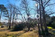 Bauträger oder Privatperson: Traumhaftes, großes Grundstück mit Altbaumbestand in ruhiger Lage