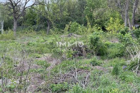 Verwirklichen Sie ihren Traum Tierhaltung möglich, Grund und Boden-kauf, 135.000,€, 2134 Mistelbach