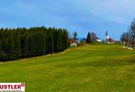 Baugrundstück im Ausmaß von 1.737 m² mit Almcharakter Naturparadies Lavanttal