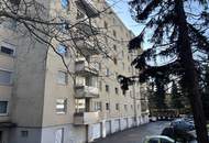 Sanierungsbedürftige Eigentumswohnung am Froschberg