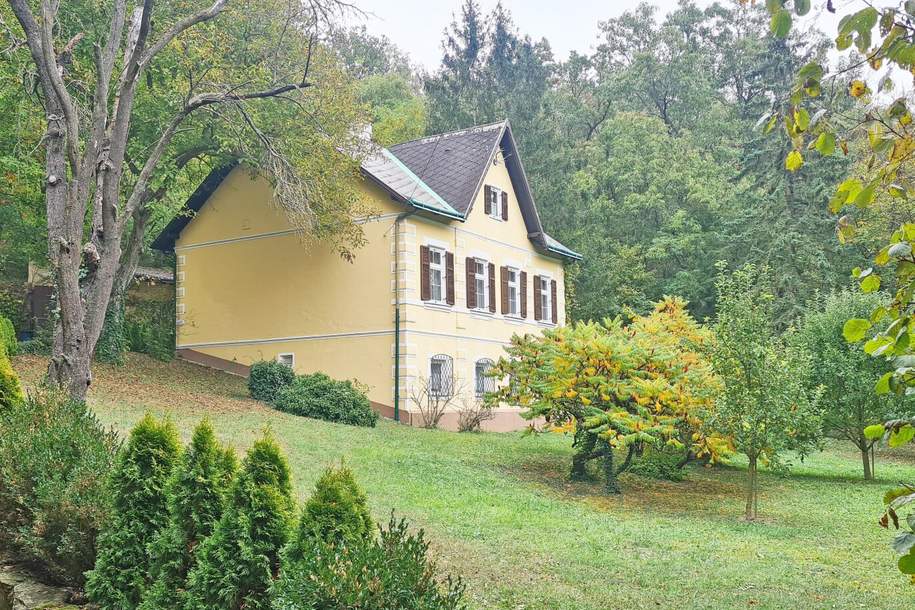 Sonderimmobilie- ehemaliges Forsthaus mit 2.500 m² idyllischem Garten, Kleinobjekte-kauf, 520.000,€, 2133 Mistelbach