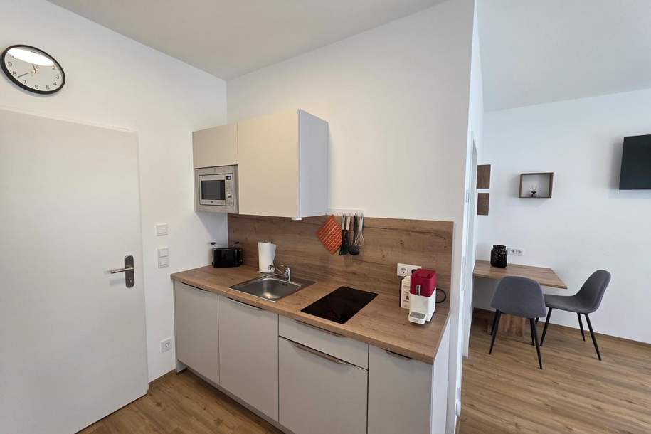 Möbliertes 1-Zimmer-Apartment ohne Loggia € 520,- inkl. BK, HK, Strom u. Wlan, Wohnung-miete, 520,00,€, 4770 Schärding
