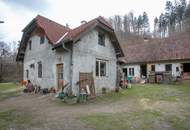 !! Neuer Preis !! Ein Rückzugsort mit Seele – Naturidylle trifft auf kreative Entfaltungsmöglichkeiten