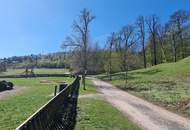 Villa beim Lainzer Tiergarten nach Kundenwunsch geplant - Edelrohbau mit Baugenehmigung - Lift im Haus möglich