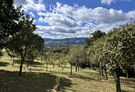 Schöner Bauernhof am Pöllauberg mit 1,8ha Grundfläche! Selbstversorgerhof mit viel Potential!!!