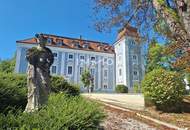 Schlossherr:in gesucht - elegante Schlosswohnung mit Turmzimmer zu verkaufen! (inkl. Garage)