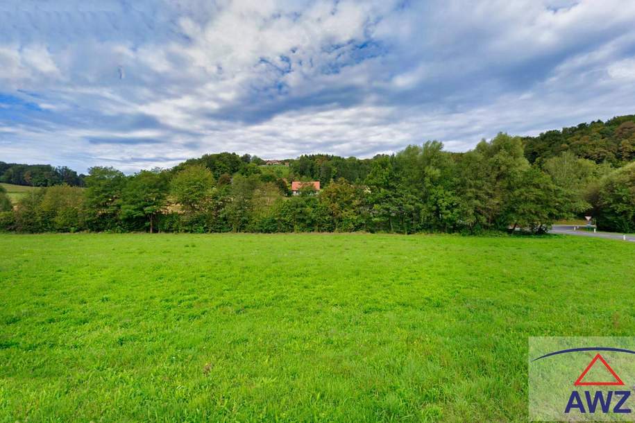 Baugrundstück Nähe Feldbach!, Grund und Boden-kauf, 8330 Südoststeiermark