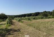 Traumhafter Weinkeller mit Panoramablick auf ca. 5.000 m² Grund – Einzigartiges Refugium im Südburgenland