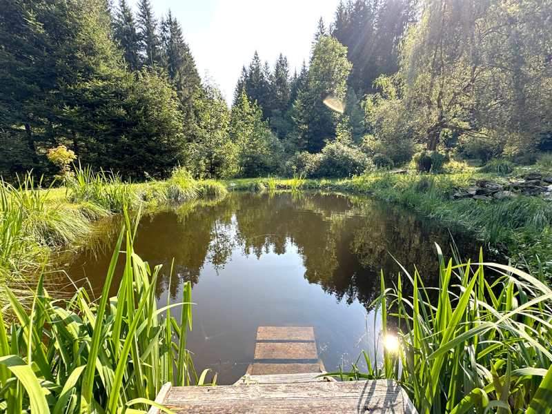 Verstecktes Naturparadies mit Pool und Schwimmteich