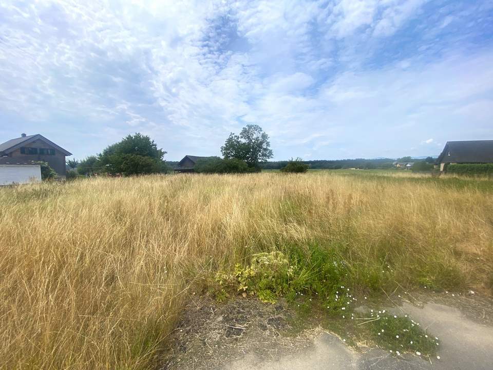 Baugrund in Zettling – ca. 1.420 m² – ideal für zwei Doppelhäuser oder zwei Einfamilienhäuser!