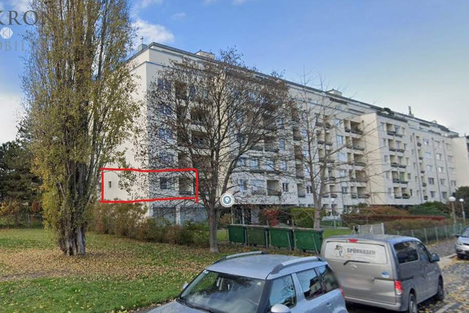 Zimmer-Kuchl-Kabinett! Perfekte Single- oder Anlegerwohnung, Wohnung-kauf, 219.000,€, 1210 Wien 21., Floridsdorf