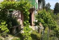 UNGARN - Winzerhaus (Pinze) in idyllischer Weinberglage bei Zalaegerszeg