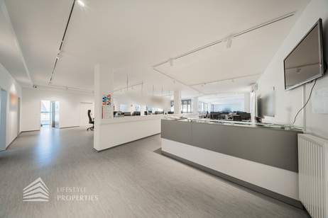 Attraktives 10-Zimmer Büro/Praxis Nähe Enkplatz, Gewerbeobjekt-miete, 14.411,41,€, 1110 Wien 11., Simmering