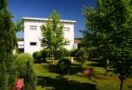 Traumhaus in Purbach am Neusiedlersee