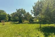 "2535m² großes Grundstück BK I & II"