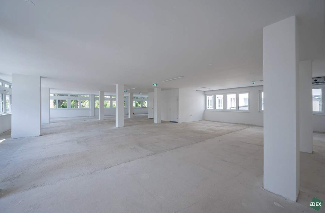 Erstbezug: Moderne Bürofläche in Hietzinger Bestlage