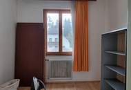 Grundstück mit alter Gärtnerei und Altbestand