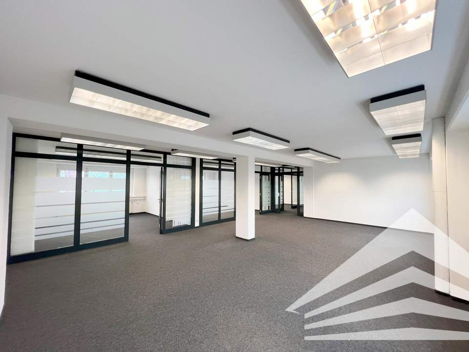 235 m² Büro mit Schauraum/Lager am Franzosenhausweg! Parkplätze!