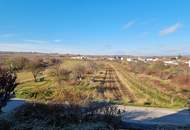 Großzügige Familienwohnung in der Storchenstadt Rust am See