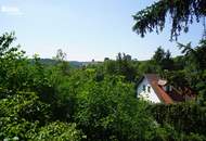 Idyllisches Haus mitten im Grünen mit Aussicht auf Burgruine