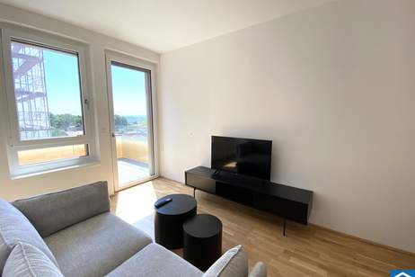 Möblierte Singlewohnung in Ruhelage und Citynähe, Wohnung-miete, 1.199,00,€, 1100 Wien 10., Favoriten